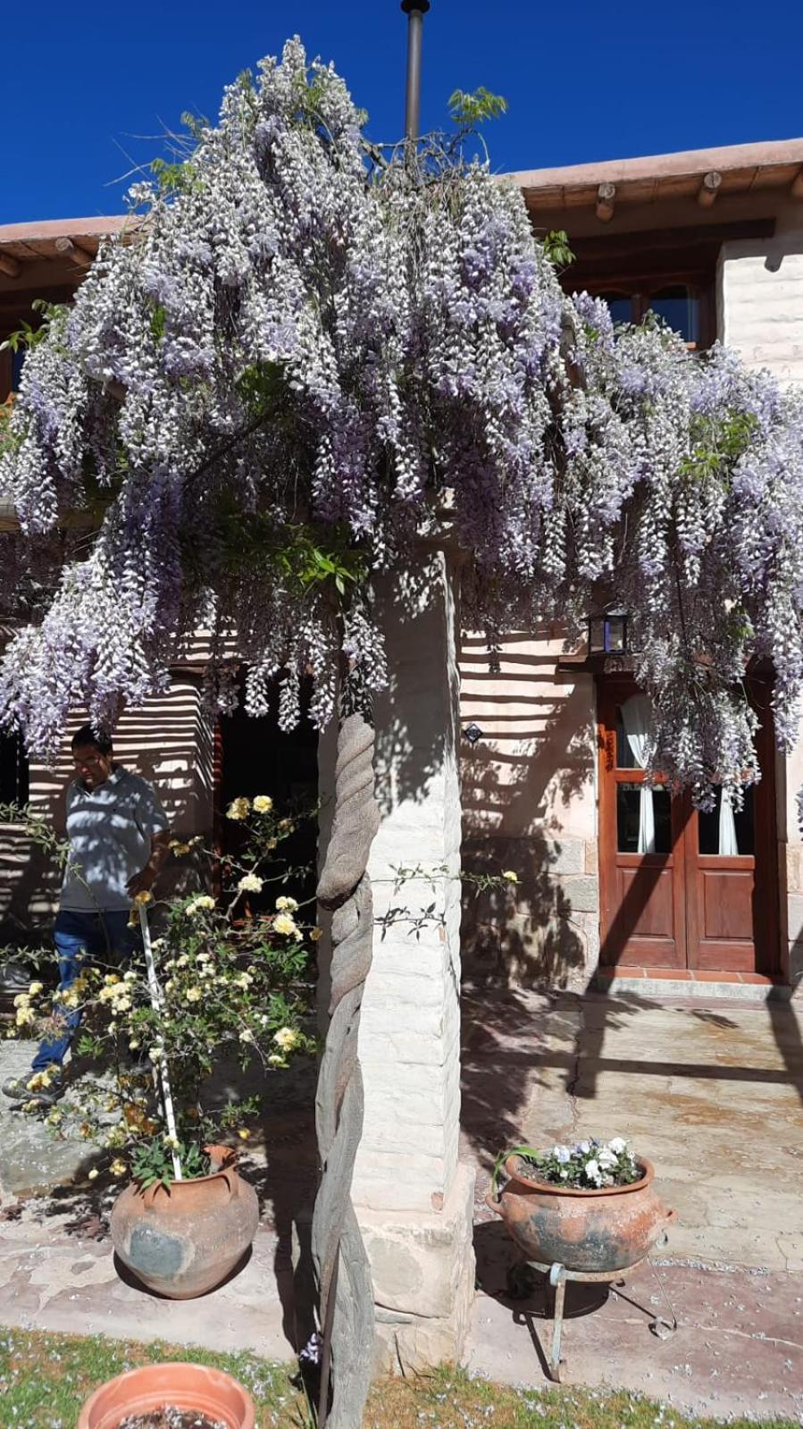 El Ensueno Villa Tilcara Dış mekan fotoğraf